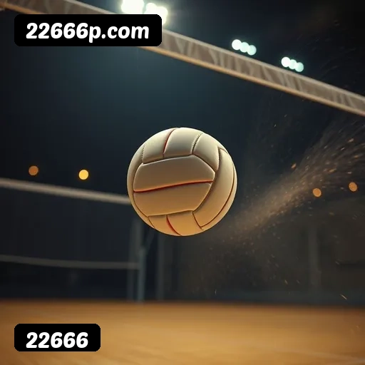 22666 APP mobile iOS Android - 187 mil downloads São Paulo Rio BH